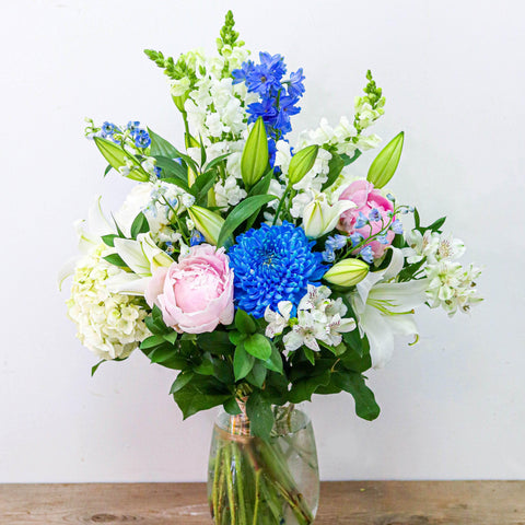 Blue Rain Blossom (Blue Mum)