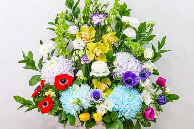 Rainbow Connection - Toronto Flower Gallery