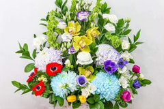 Rainbow Connection - Toronto Flower Gallery