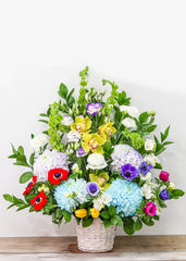 Rainbow Connection - Toronto Flower Gallery