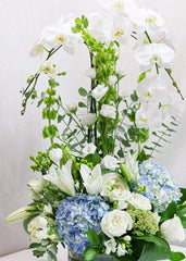 Nature Bliss - Toronto Flower Gallery