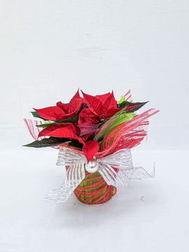 Poinsettia