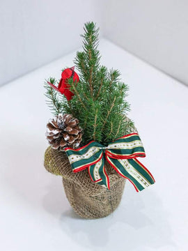 Christmas Tree with Bird