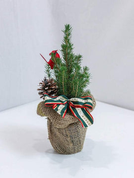 Christmas Tree with Bird