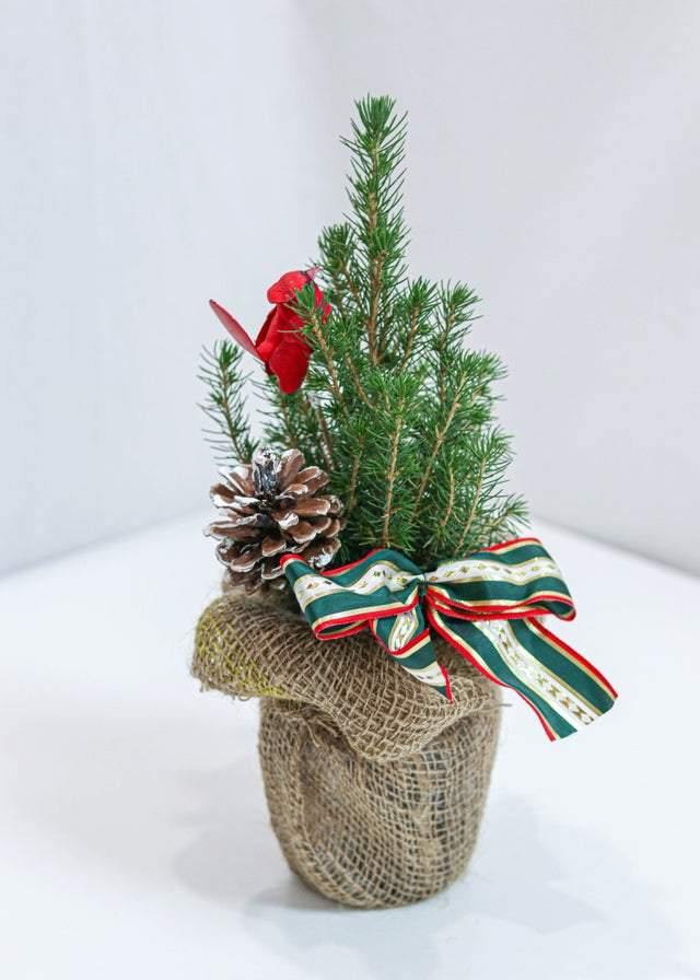 Christmas Tree with Bird - Toronto Flower Gallery