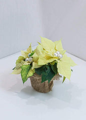 Lovely Poinsettia - Toronto Flower Gallery