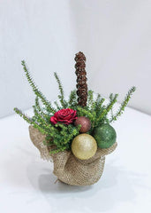 Christmas Ornaments - Toronto Flower Gallery