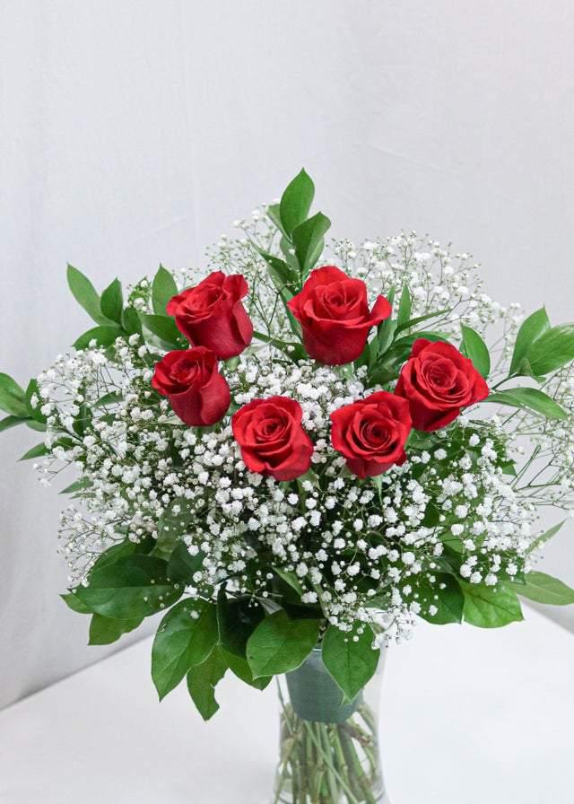 6 Premium Red Roses with Baby's Breath - Toronto Flower Gallery