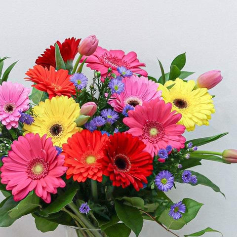 Gerbera Daisy Bouquet