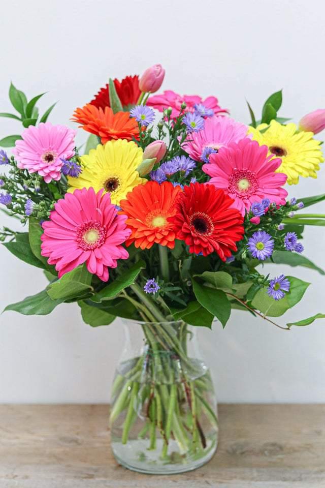 Gerbera Daisy Bouquet - Toronto Flower Gallery