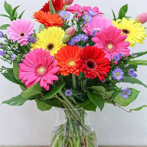 Gerbera Daisy Bouquet