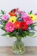 Gerbera Daisy Bouquet - Toronto Flower Gallery