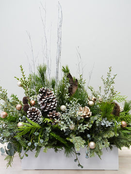 Evergreen Elegance