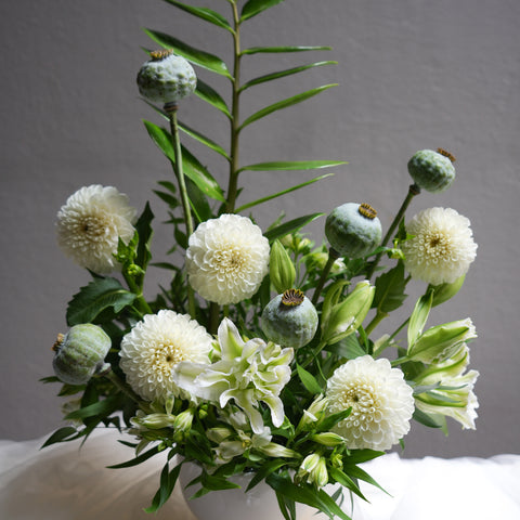 Botanical Mist