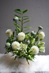 Botanical Mist
