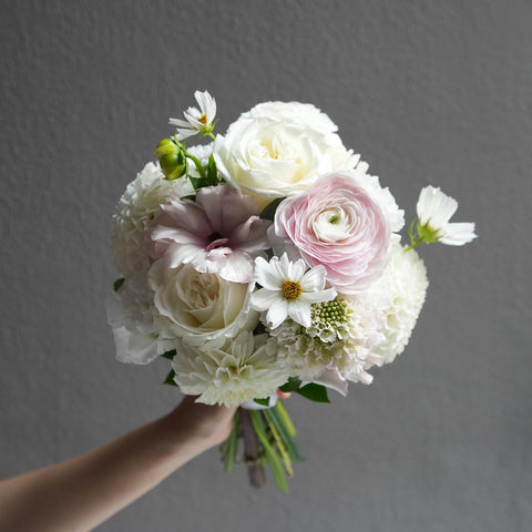 Velvet Blush