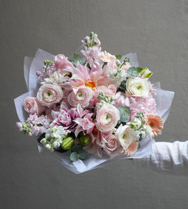 Apricot Dream