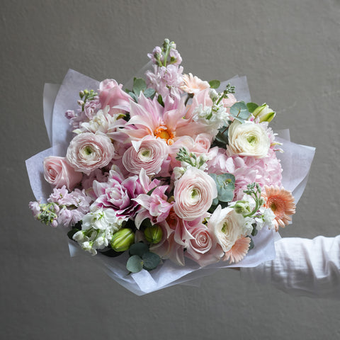 Apricot Dream