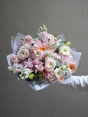 Apricot Dream