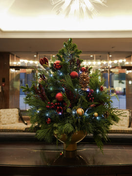 Christmas Spruce
