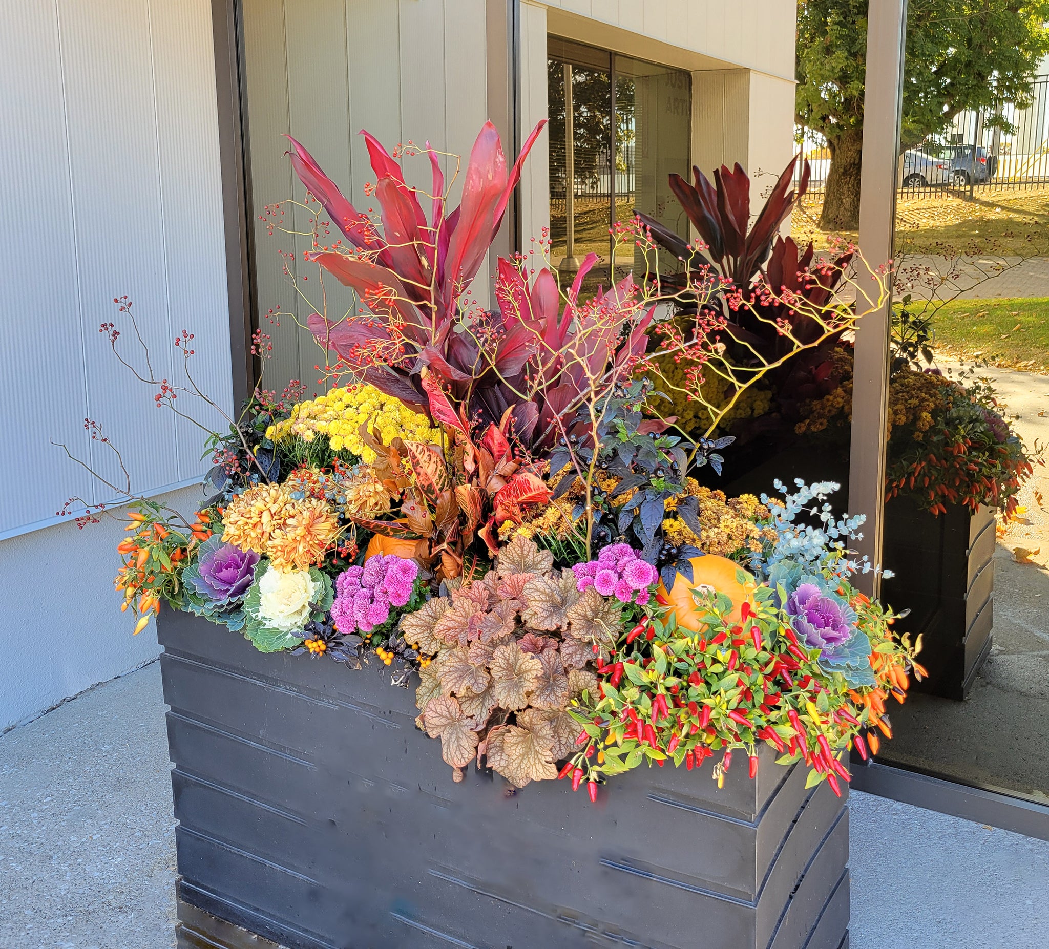 Colorful Autumn outdoor plant