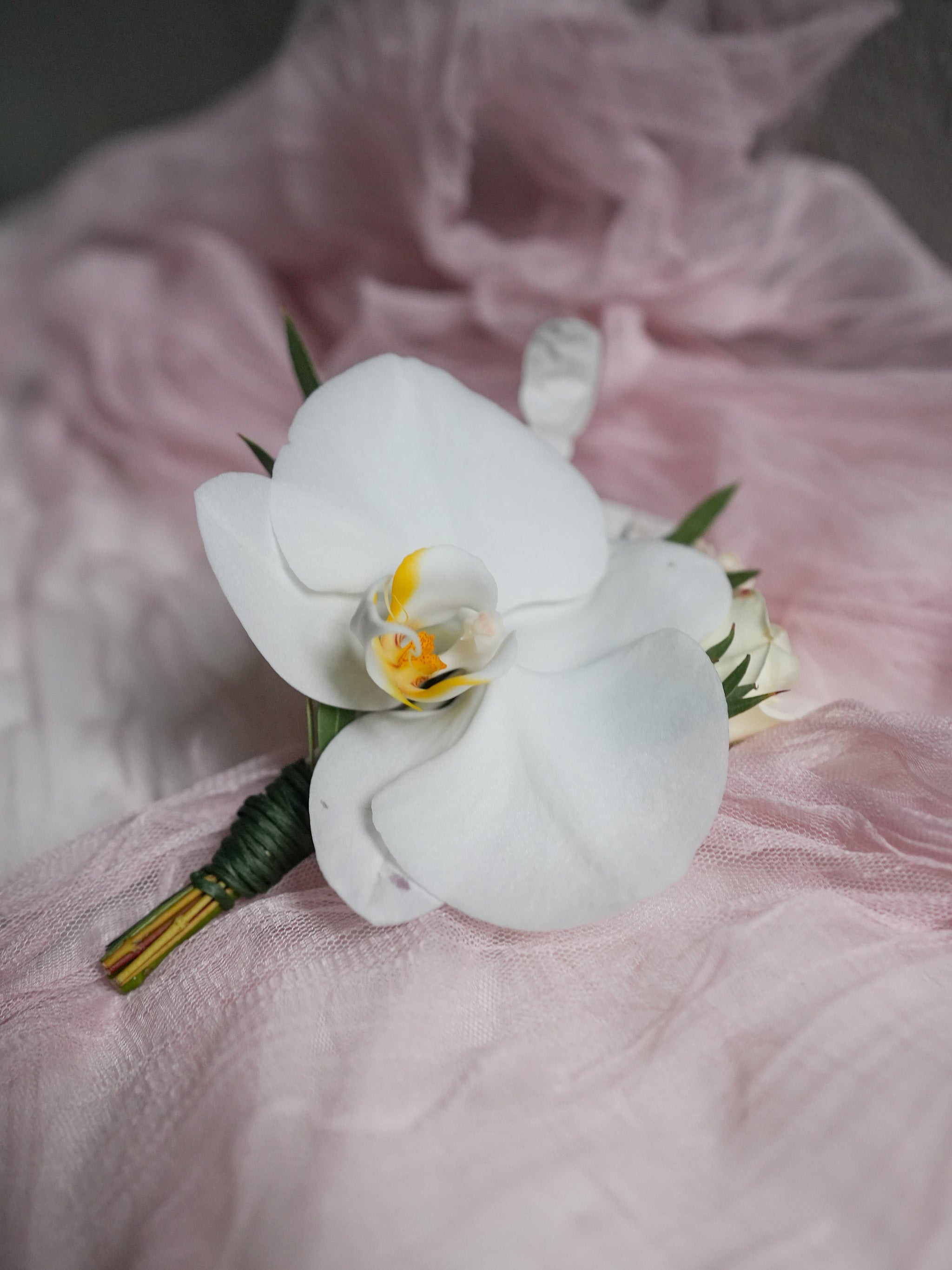 Luminous Grace