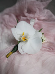 Luminous Grace