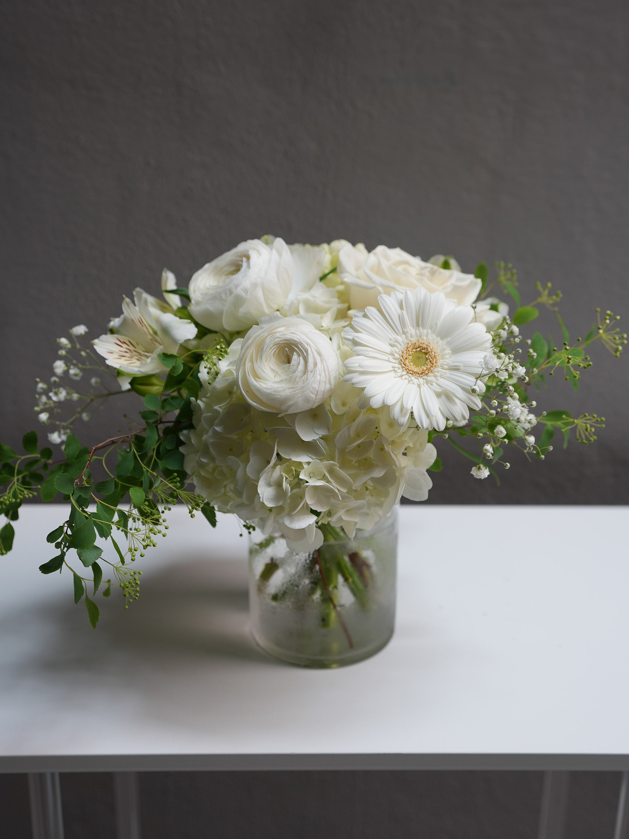 Ivory Light