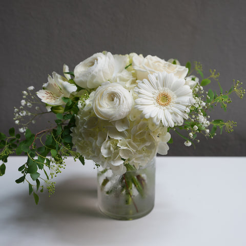 Ivory Light