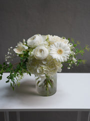 Ivory Light