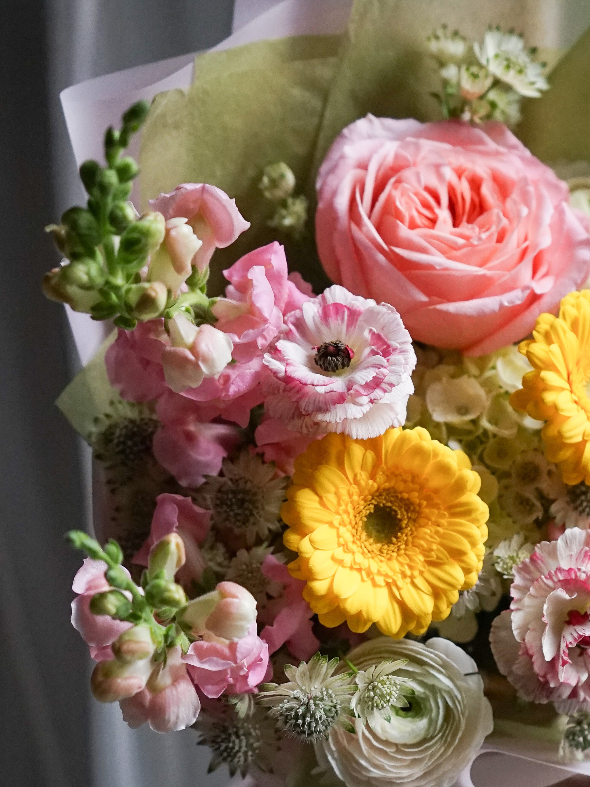 Blush Romance