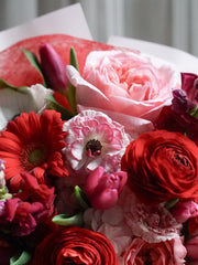 [10%MD] Modern Scarlet