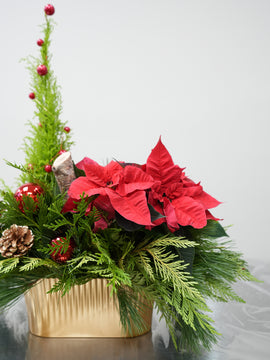 Little Christmas