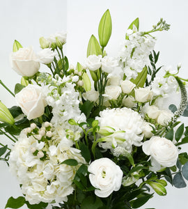 Cool White