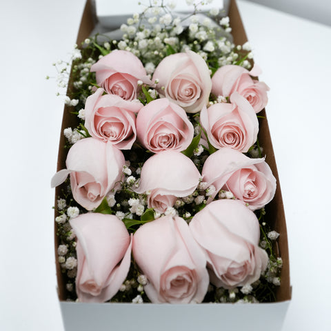 [VD] 12 Pink Roses with Baby's Breath In A Box