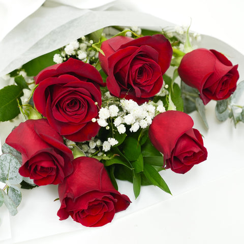 6 Red Roses