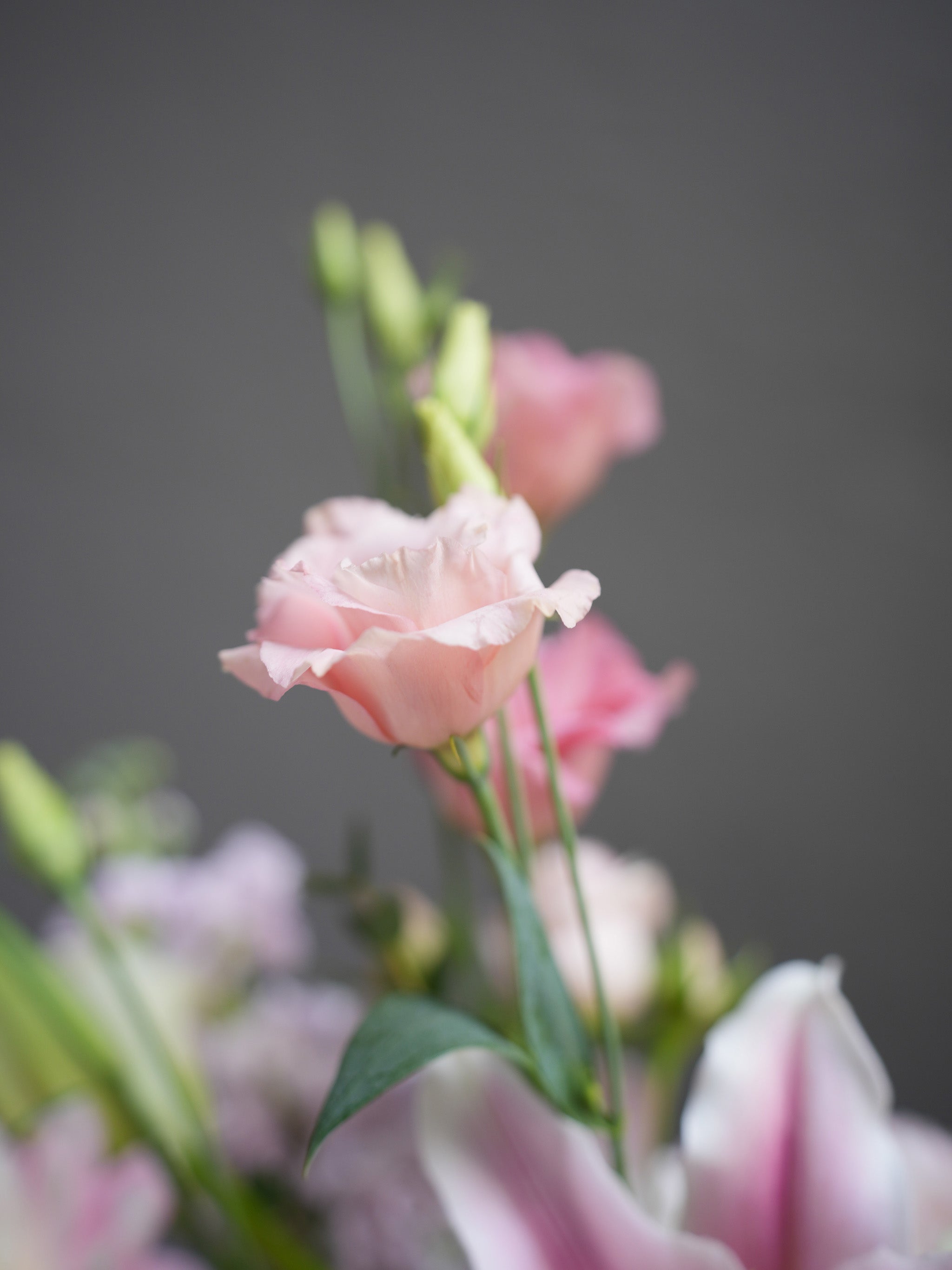 lovely Bloom Basket