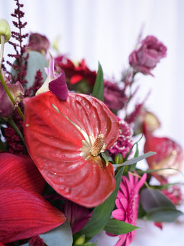 Jolly Red Blooms