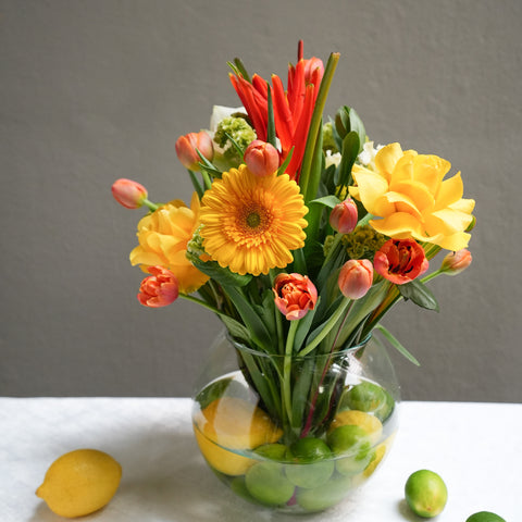 Marigold Majesty