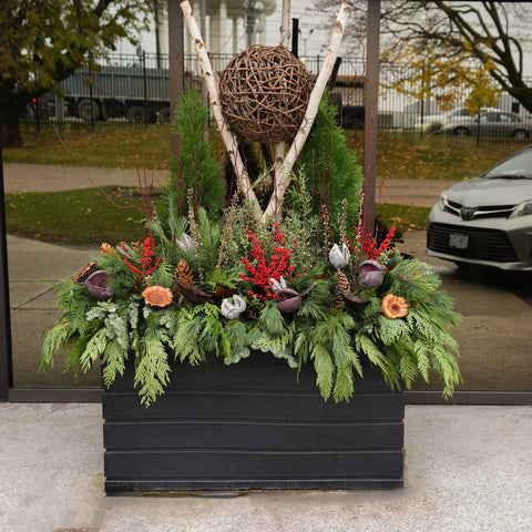 Magical Christmas Arrangement