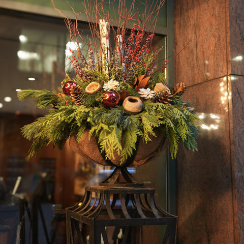 Holiday Outdoor Delight