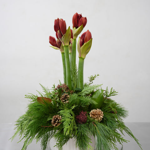 Amaryllis Luxe centerpiece