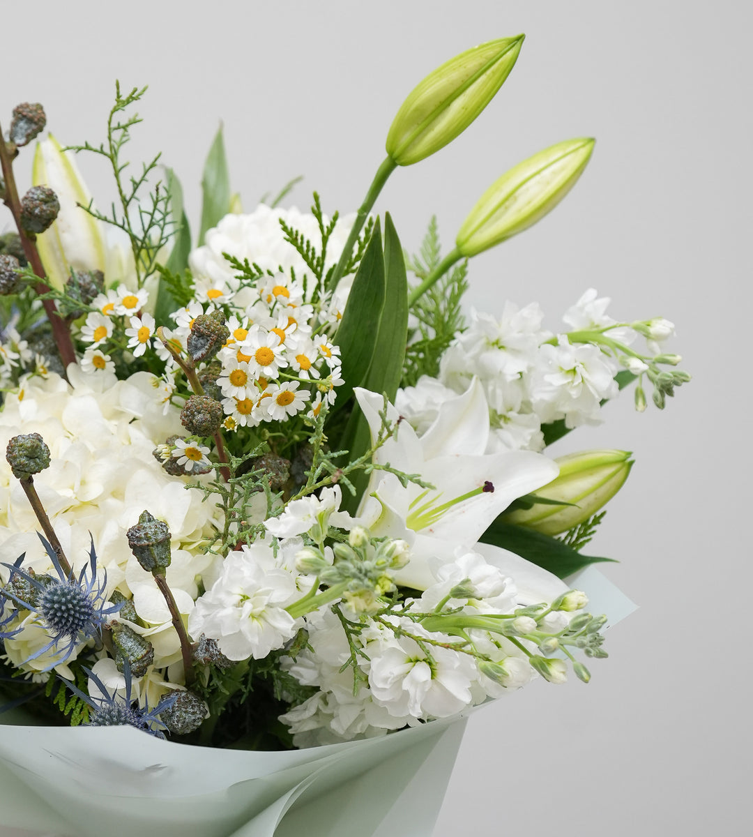 Winter Bell Serenity