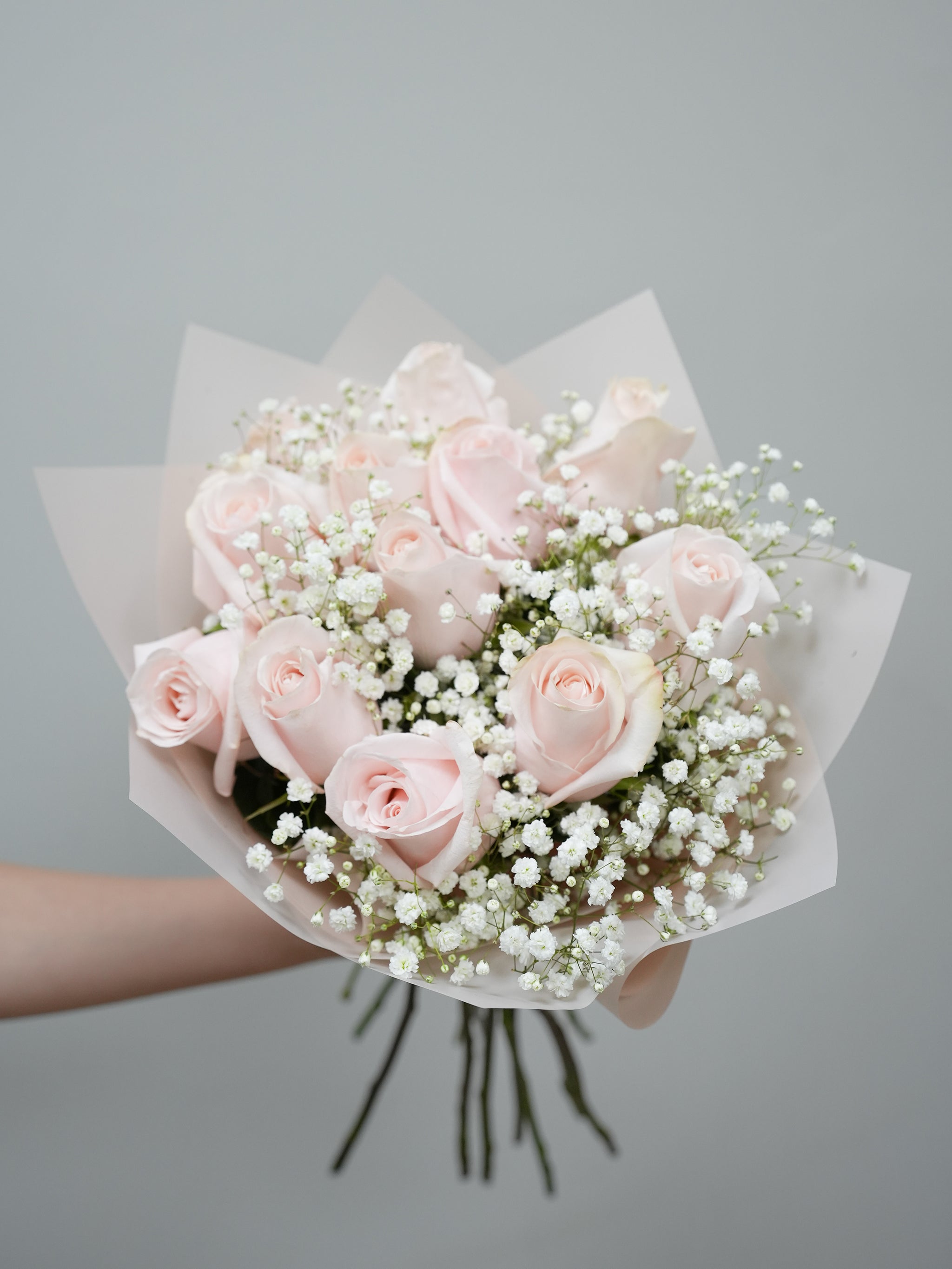 [VD] Pink Roses with Baby's Breath or Greenery