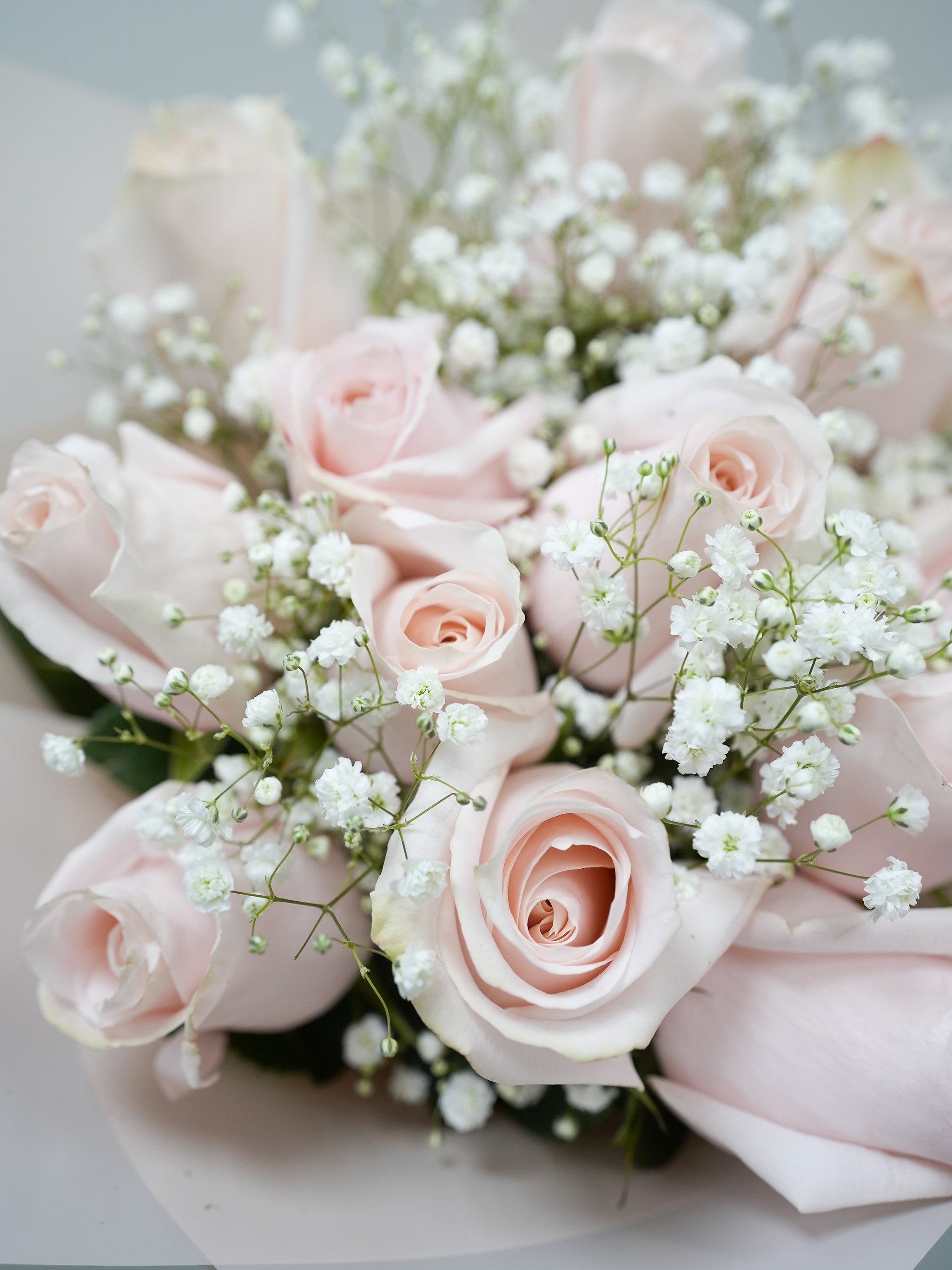 [VD] Pink Roses with Baby's Breath or Greenery