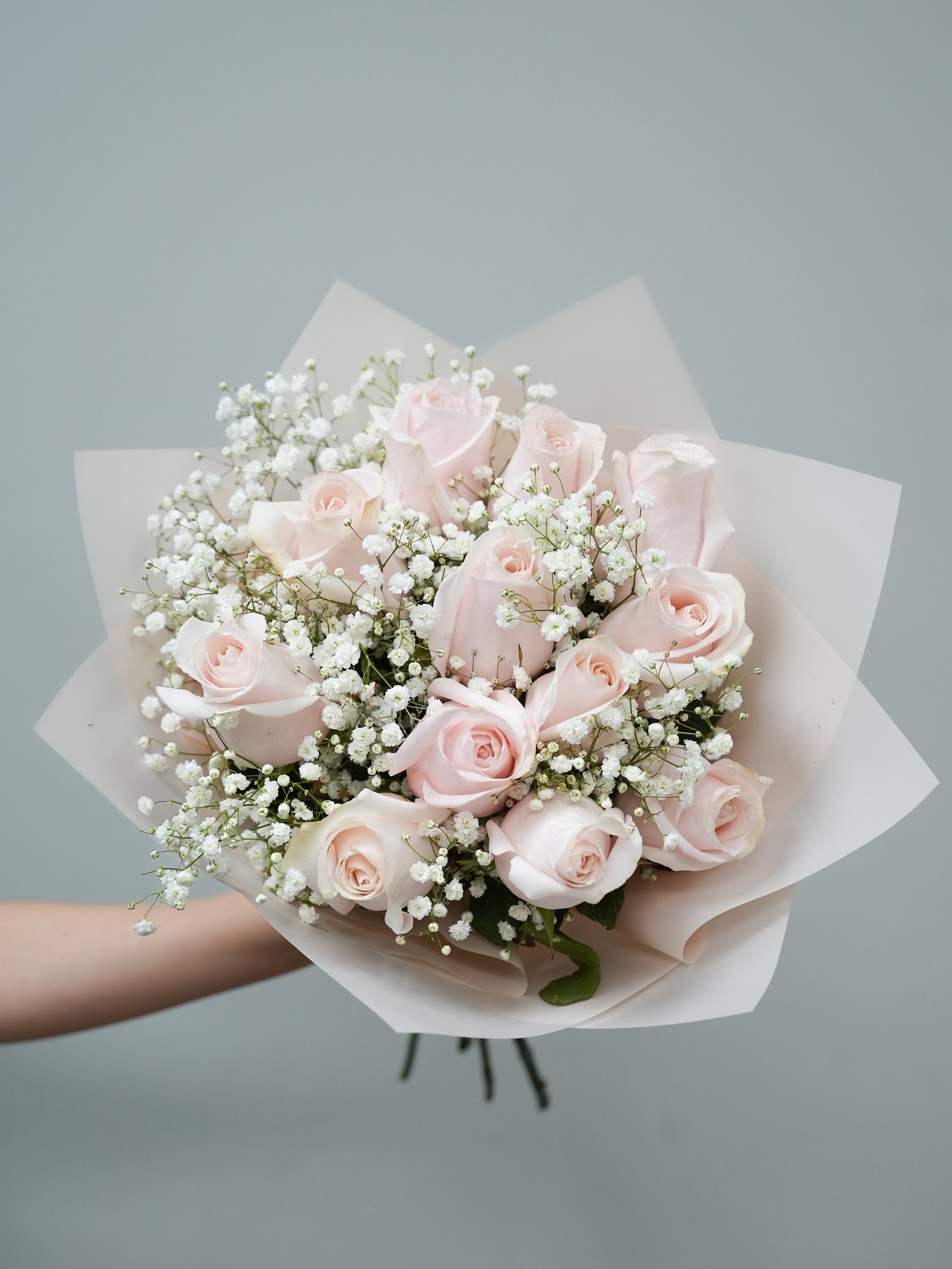 [VD] Pink Roses with Baby's Breath or Greenery