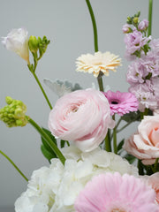 Blossom of Love