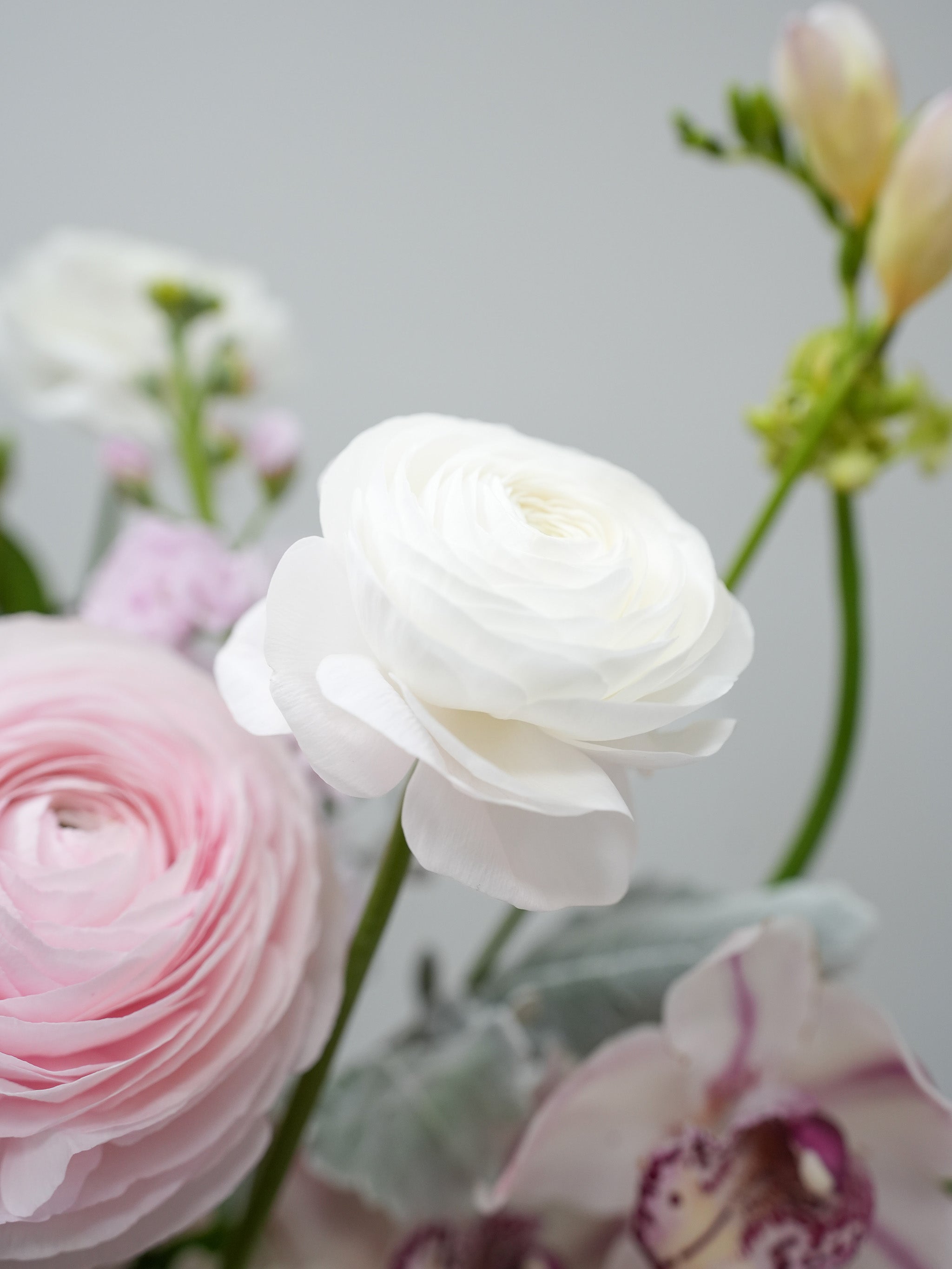 Blossom of Love