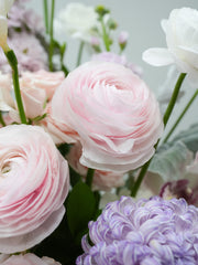 Blossom of Love