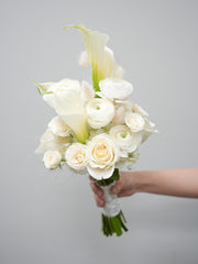 Ivory Bliss